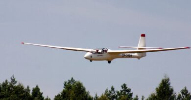 aliante