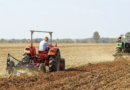 Regione Lazio, 25 milioni per i giovani agricoltori. Il bando pubblicato su impulso dell’assessore Righini