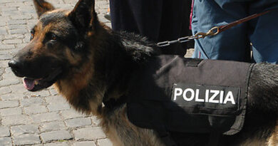 cane antidroga polizia