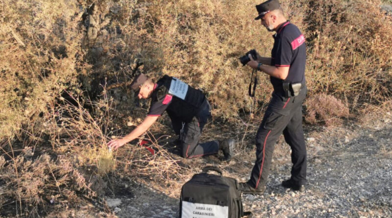 carabinieri forestale