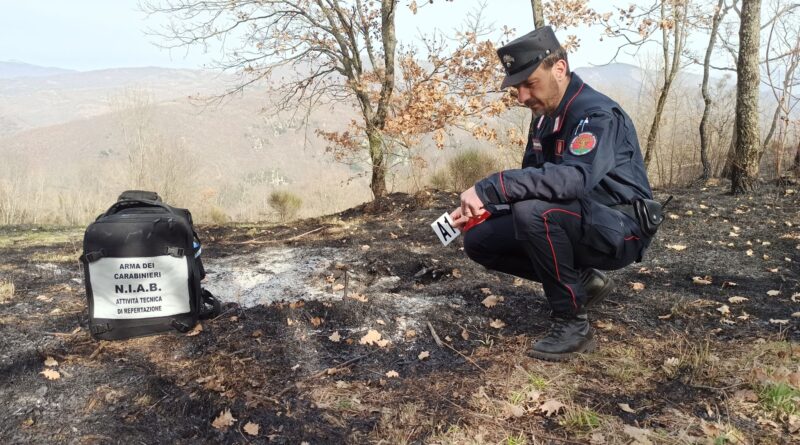 incendi forestale