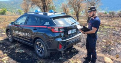 carabinieri forestale