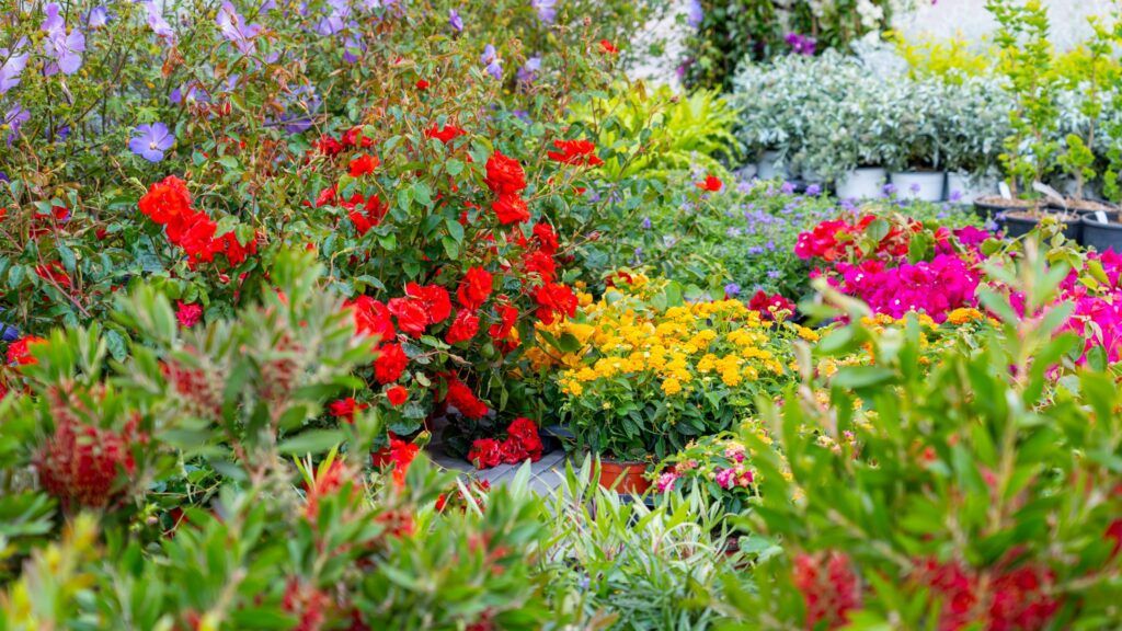 Rieti in Fiore 2026: l’8, 9 e 10 maggio il centro storico torna a sbocciare