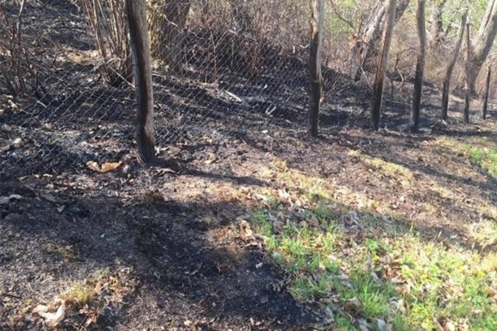 Due incendi colposi nel Reatino: denunciate due persone dai Carabinieri Forestali